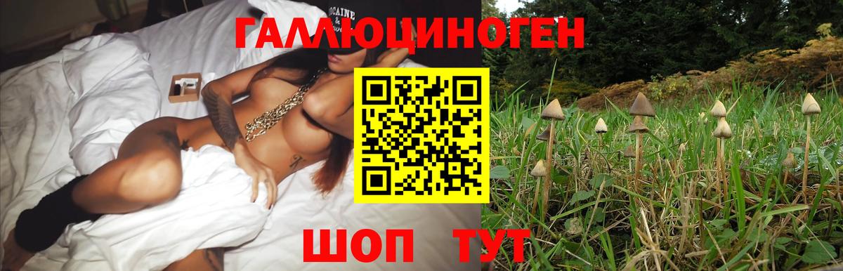 закладки  Псилоцибиновые грибы Magic Shrooms  Вход с VPN  Ревда 
