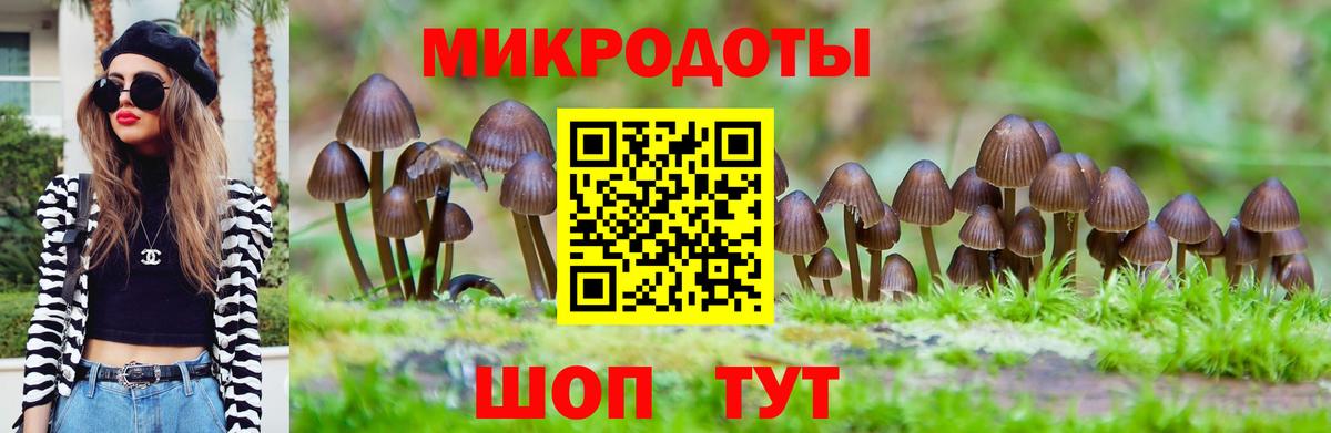 Галлюциногенные грибы мицелий Ревда